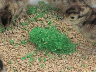 Chick-Aid™ Game Bird Booster Supplement