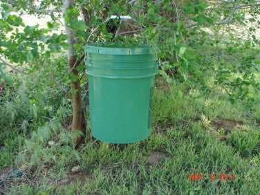 WMT Bucket Field Waterer - 3 drinkers